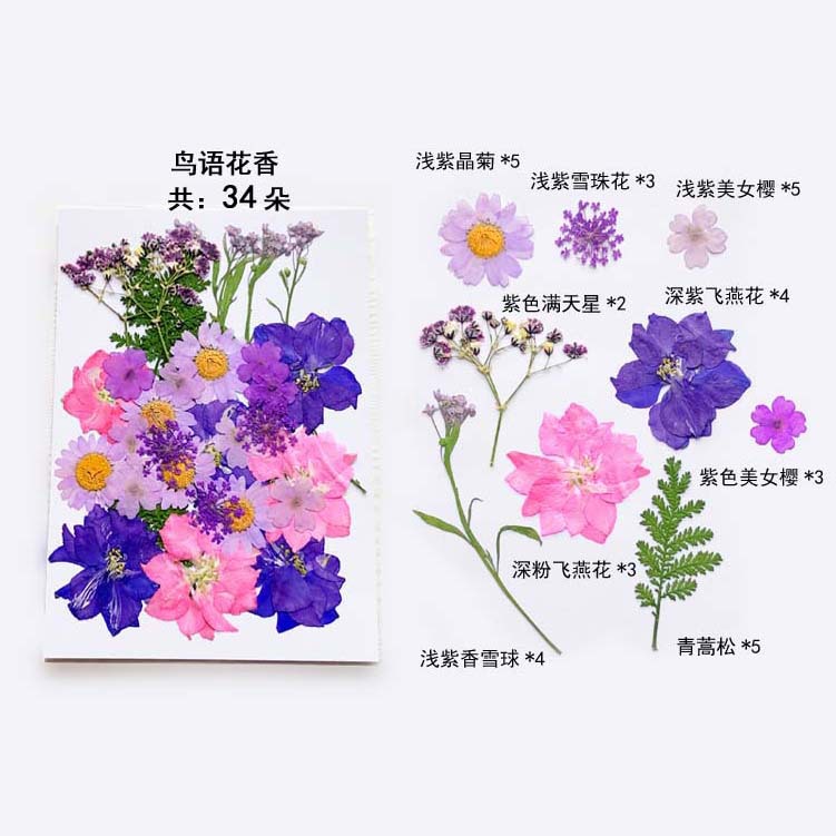 En relieve DIY flor seca paquete de material en relieve epoxi cáscara del teléfono móvil planta espécimen foto pegatina cara planta de maquillaje espécimen