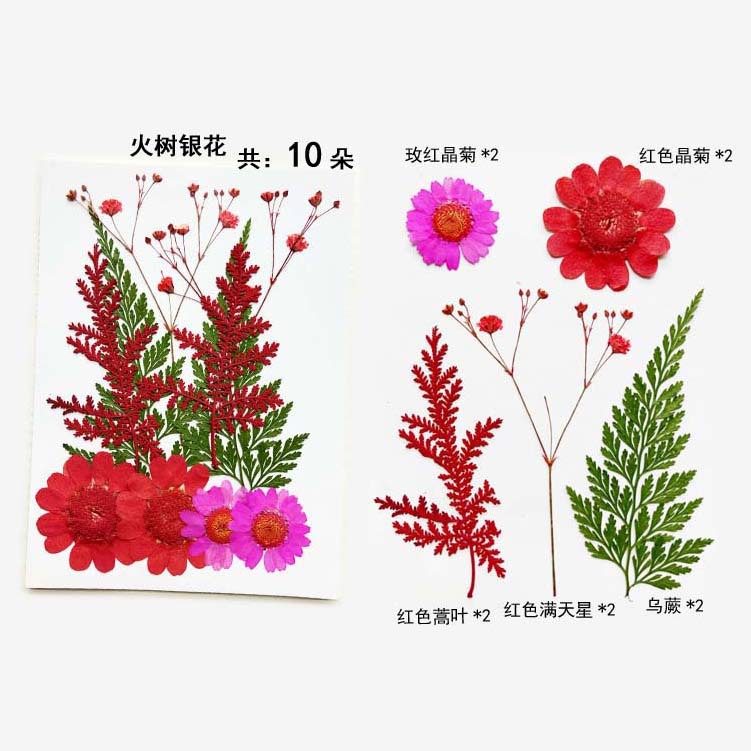 En relieve DIY flor seca paquete de material en relieve epoxi cáscara del teléfono móvil planta espécimen foto pegatina cara planta de maquillaje espécimen