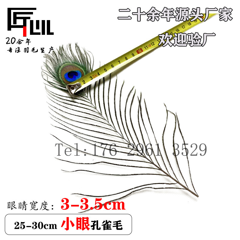 産地の商品源はピーコックの毛の25-30cmの天然の孔雀の羽の中で目の小さい目の大きい目を精選します。|undefined