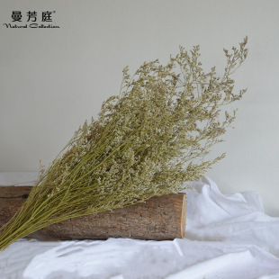 �������˲ݸɻ����� �ֹ�����ֲ���滨�Ĳ廨ˇ����Ĕz�������l