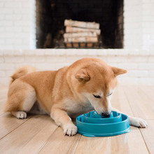 酷极/Kyjen狗狗慢食碗狗碗趣味中型犬训泰迪狗防噎碗宠物用品批发