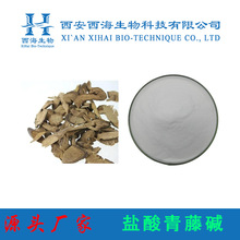 }|98% ȡ Ҏ F؛ Sֱ }|