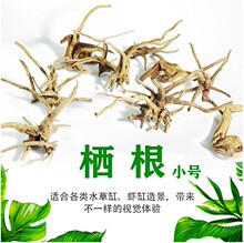 Խ�ϗ������N����ľ��ľС�������ˮ���~���쾰ˮ���b�