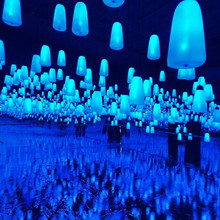 �W�t��LED�߲ʺ�����LEDɭ�ֺ��������ղʟ��ֵ��̈������b�