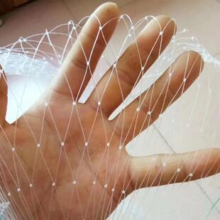 ��ɫ���B�W�����WA���ְ�ɫ���B�W�����WA��ɫ���B�W�S��