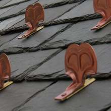 ��˼��GENS���~��ѩƬ�S�Ҷ� ��������b���ķeѩ��ѩ������ϵ�y