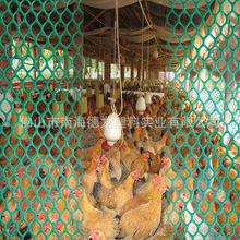 黑色平行网家禽养殖鱼塘隔离网塑料养鸡园林防护J胶网结茧网