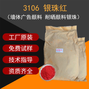 ���������y�p�t���  ���w�V������y��t ���g����͕��y���