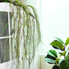 森系青苔枯枝树藤条垂吊悬挂造型苔藓枝条柳条植物墙角装饰造布景