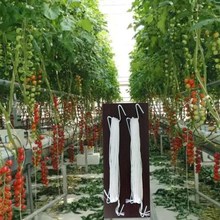 �Ϲ��߲˒��h�����h������Ғ��hM�͒��h+10M���K�����h���ђ��h