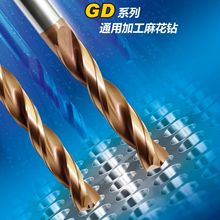 ������ʯ//GDϵ���黨��&phi;1112--24.525.0ϳ�������ͷ