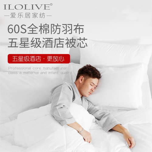 Hotel bedding quilt white hotel special linen winter quilt four seasons spring autumn summer air conditioning feather velvet core