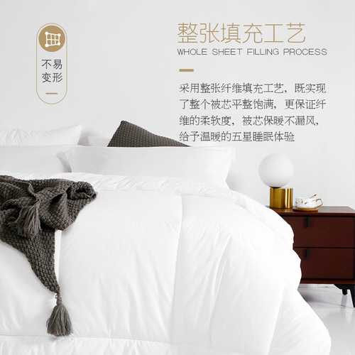 Hotel bedding quilt white hotel special linen winter quilt four seasons spring autumn summer air conditioning feather velvet core