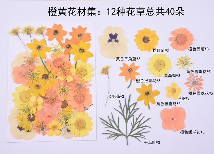 오렌지 플라워 세트 (꽃 12 종, 합계 40 종)