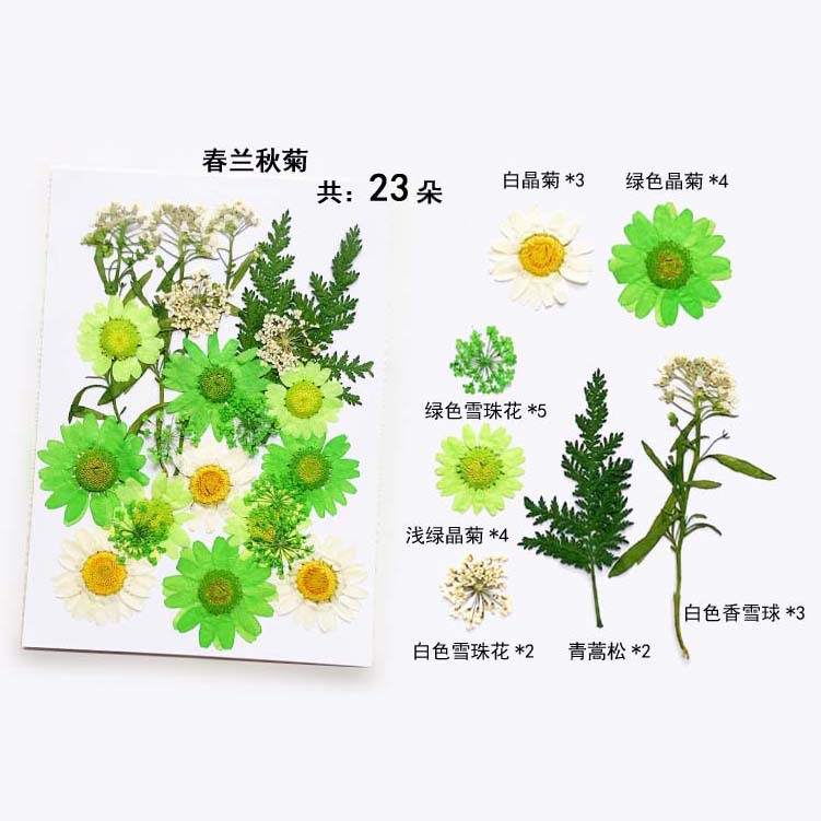 En relieve DIY flor seca paquete de material en relieve epoxi cáscara del teléfono móvil planta espécimen foto pegatina cara planta de maquillaje espécimen