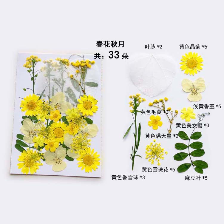 En relieve DIY flor seca paquete de material en relieve epoxi cáscara del teléfono móvil planta espécimen foto pegatina cara planta de maquillaje espécimen