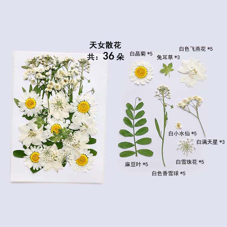 En relieve DIY flor seca paquete de material en relieve epoxi cáscara del teléfono móvil planta espécimen foto pegatina cara planta de maquillaje espécimen