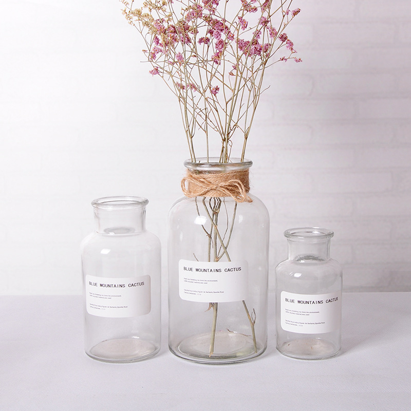 Jarrón de vidrio transparente simple Boca Grande florero hidropónico decoración de flores secas florero accesorios de tiro botella de reactivo