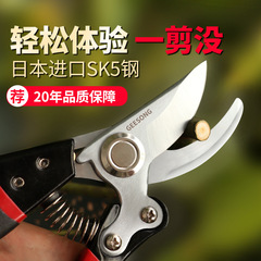 GEESONG V10 Flower Scissors Pruning Shears Flower Art Shears Pruning Tool Flower Garden Multi-purpose Grass Scissors