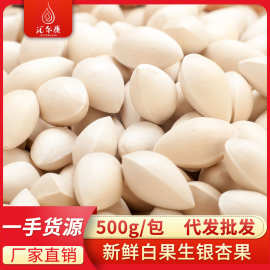 2025新鲜白果生银杏果蔬菜生鲜银杏仁大仔500克批发一件代发包邮