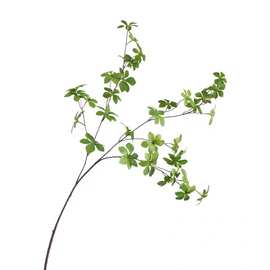 仿真吊钟叶 马醉木日本多瓣叶七星叶仿真绿色植物插花装饰假树叶
