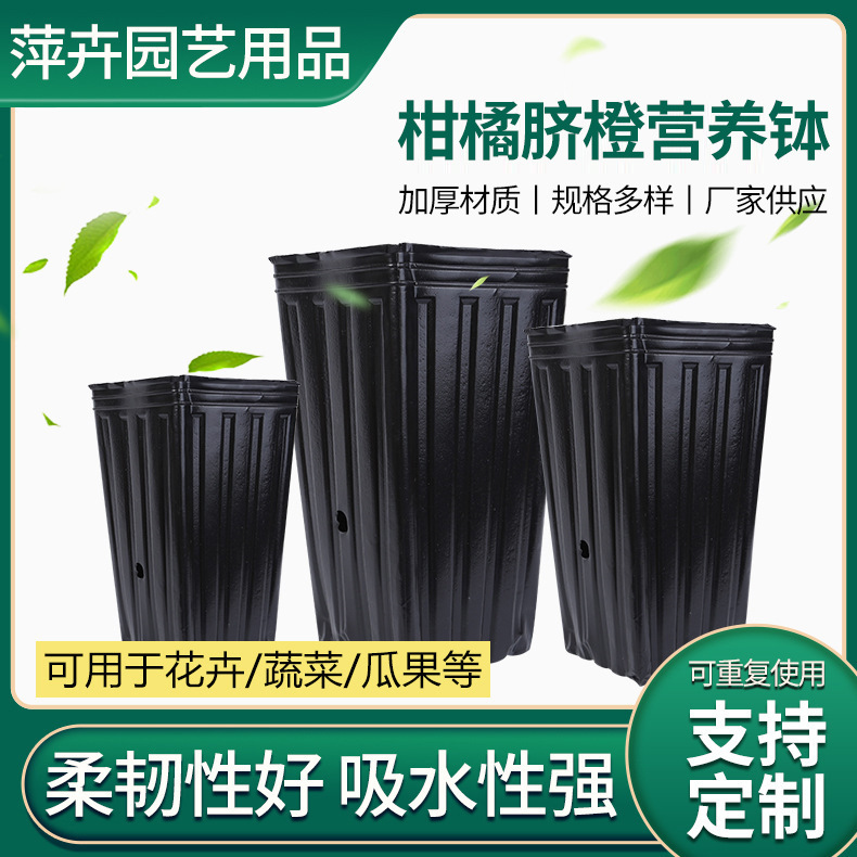 Supply of Navel Orange Cup, Citrus Cup, Slender Square Bottom, Thickeneded and Heightened Black Nutrition Bowl, Nutrition Cup for Seedlings Supply of Navel Orange Cup, Citrus Cup, Slender Square Bottom, Thickeneded and Heightened Black Nutrition Bowl, Nutrition Cup for Seedlings