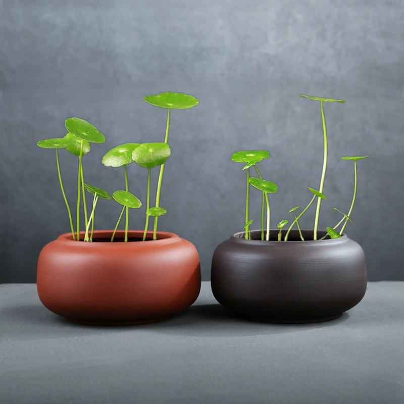 Медная денежная трава фиолетовый песок маленький цветочный горшок ваза керамический гидропонный непористый зеленый контейнер для растений маленький свежий Настольный цветочный стол