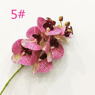 3D打印蝴蝶兰 6头蝴蝶兰 手感软装 仿真花
