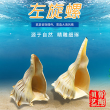 ������ ����[����Ȼ����ؐ���~��ˮ��ҾӔ[���b��ղ������l