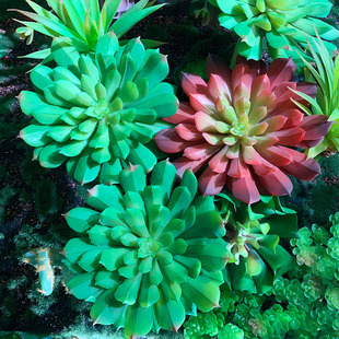 ��Ʒ�^��ɏֲ���ķ������ֲ���ɏ����bᎧʯɏ�����l