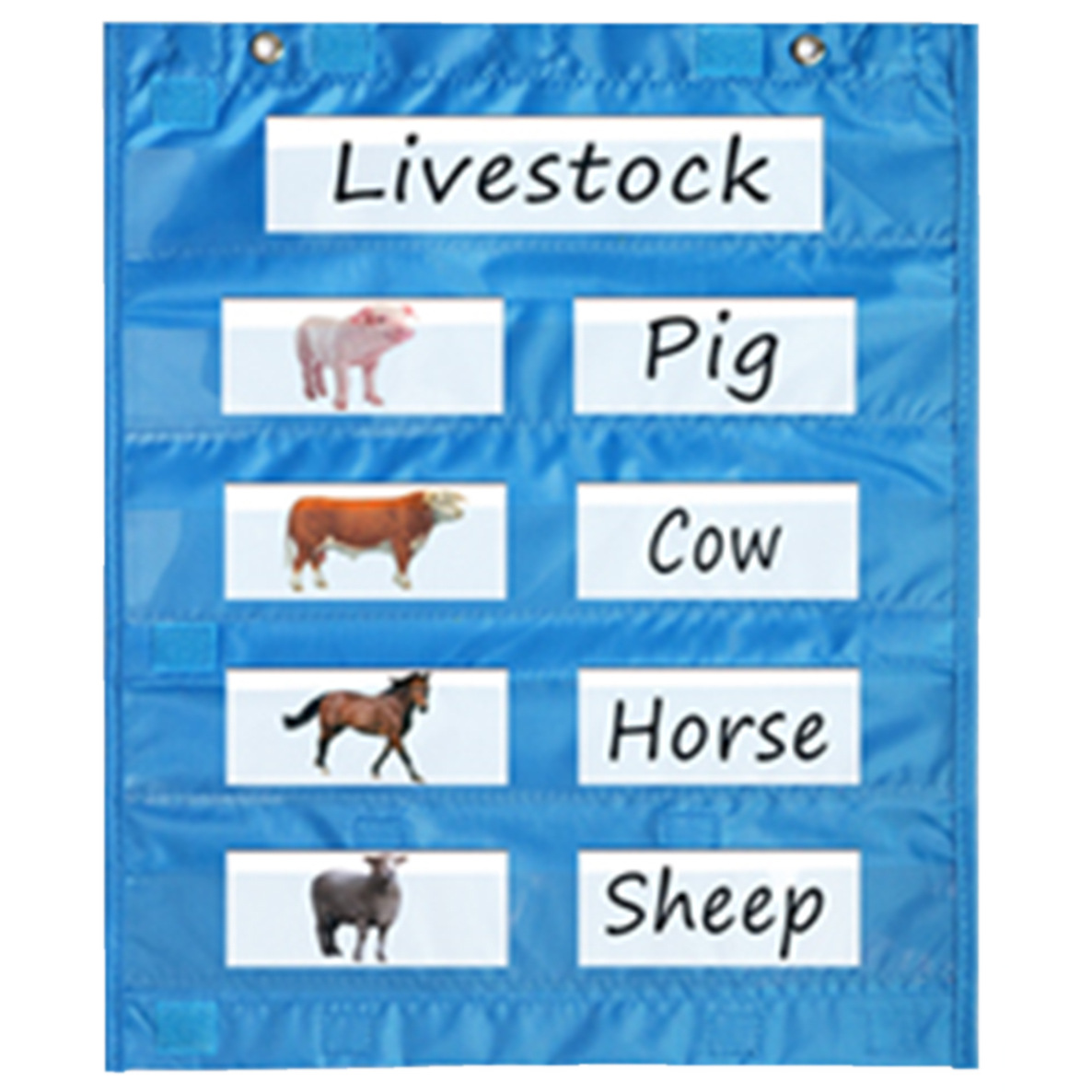 Amazon buena venta suministro pizarra imán Tarjeta de bolsillo magnético bolsillo gráfico cuadrados