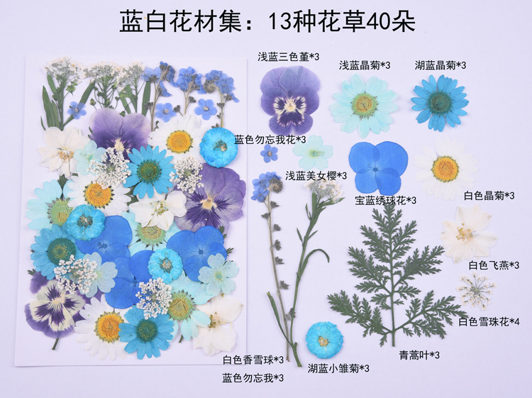 블루와 화이트 플라워 소재 세트 (플라워 소재 13 종, 합계 40 종)
