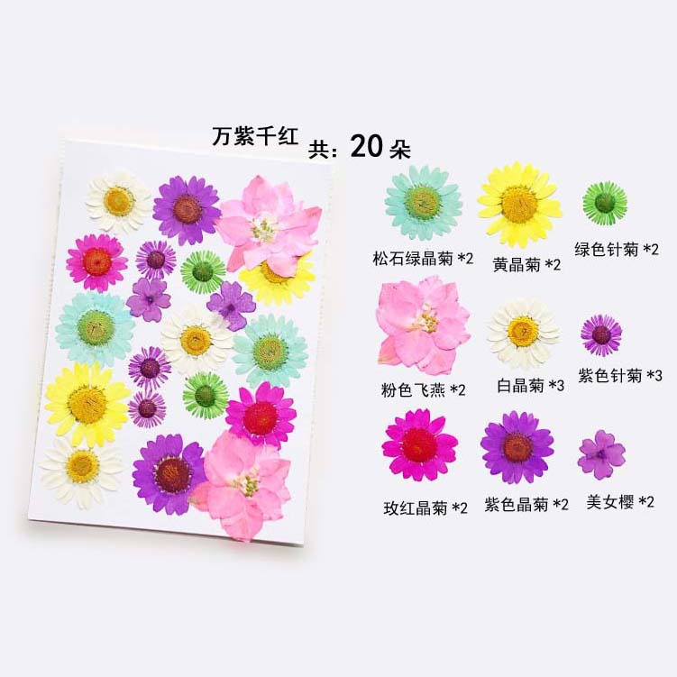 En relieve DIY flor seca paquete de material en relieve epoxi cáscara del teléfono móvil planta espécimen foto pegatina cara planta de maquillaje espécimen