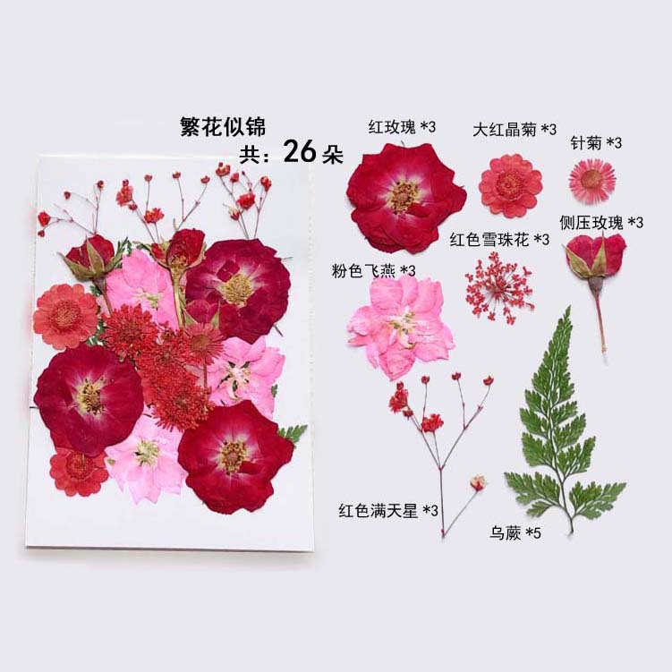 En relieve DIY flor seca paquete de material en relieve epoxi cáscara del teléfono móvil planta espécimen foto pegatina cara planta de maquillaje espécimen