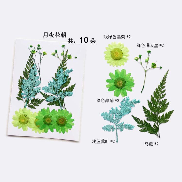 En relieve DIY flor seca paquete de material en relieve epoxi cáscara del teléfono móvil planta espécimen foto pegatina cara planta de maquillaje espécimen