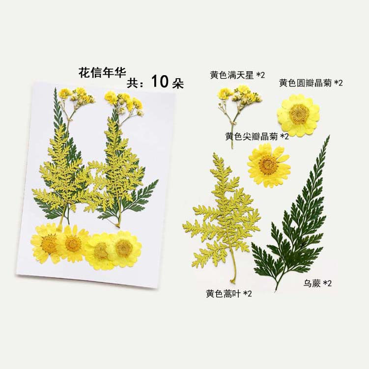 En relieve DIY flor seca paquete de material en relieve epoxi cáscara del teléfono móvil planta espécimen foto pegatina cara planta de maquillaje espécimen