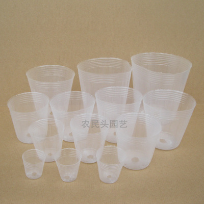 Прозрачная детская чашка Phalaenopsis Cross -lanhua Transparent Pot Bag Bag Bust Cup Cup Puttion Bowl Пластиковый цветочный бассейн