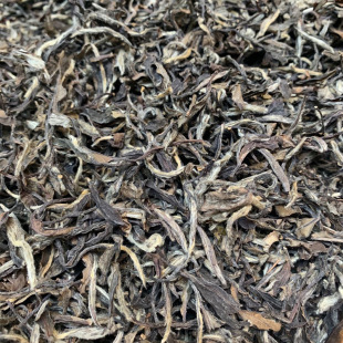 2016�ꗗ���ĵ���ײ踣�� ���ݴ��� �S�҃r�񌍻� �ײ�ɢ�����l