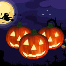 �f�}���Ϲϟ� LED���Ϲϔ[� �ư�ҹ���b��羳�¿���������