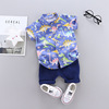 Summer children's set for boys for early age, shirt, sleeves