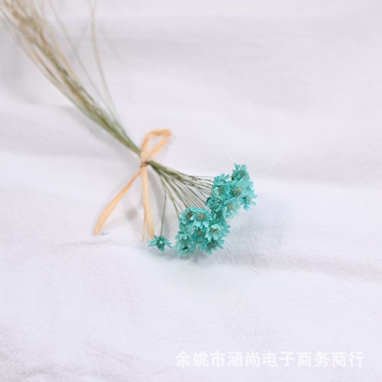 Mini Brasil estrella crisantemo accesorios de tiro flor seca Margarita pequeña flor estrella jalea lápiz labial bola de cristal flor DIY