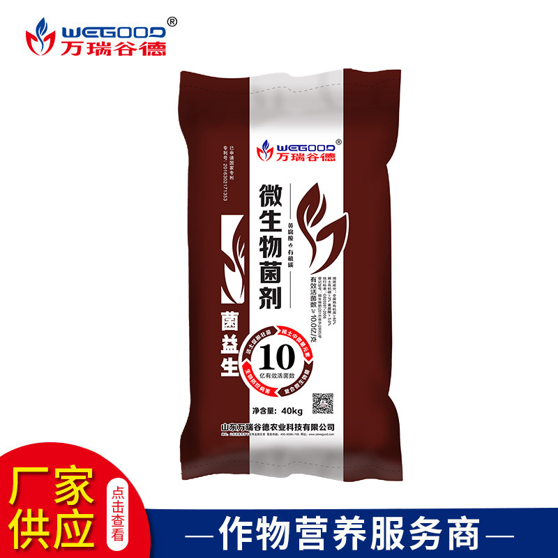 厂家销售复合微生物菌肥粉剂 可批发有机质80% 有益菌10亿/克