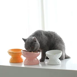 猫猫食具;狗狗食具;马克杯