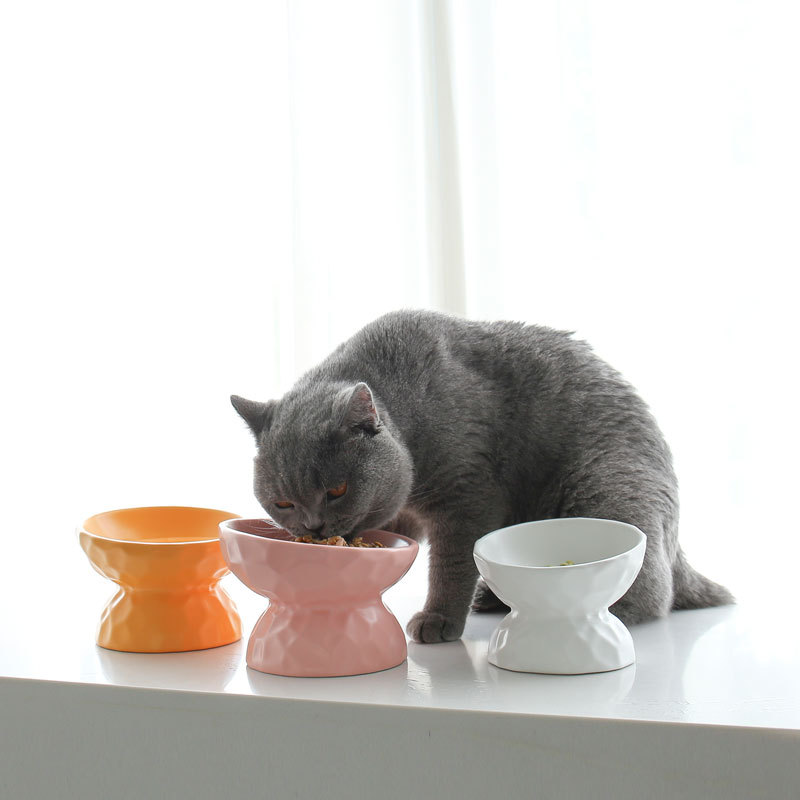Ceramic Cat Bowl Protects Cervical Spine Oblique Mouth High Foot Dog Cat Food Bowl Cat Food Basin Meal Basin Pet Supplies Anti-overturning