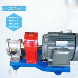 大流量抽油泵高压电动输油泵不锈钢齿轮油泵2CY高压齿轮泵