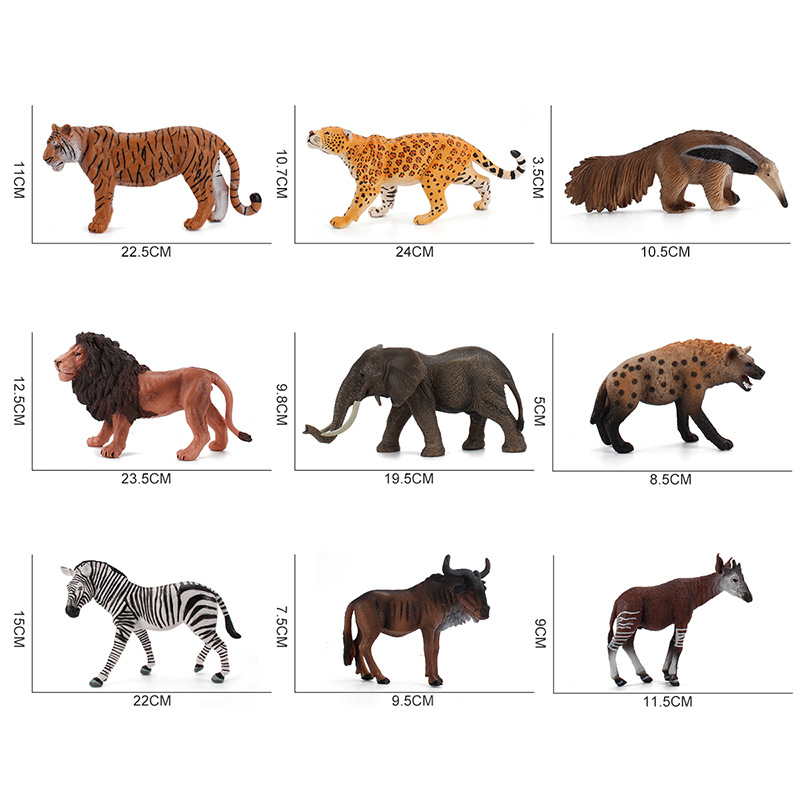 animal model