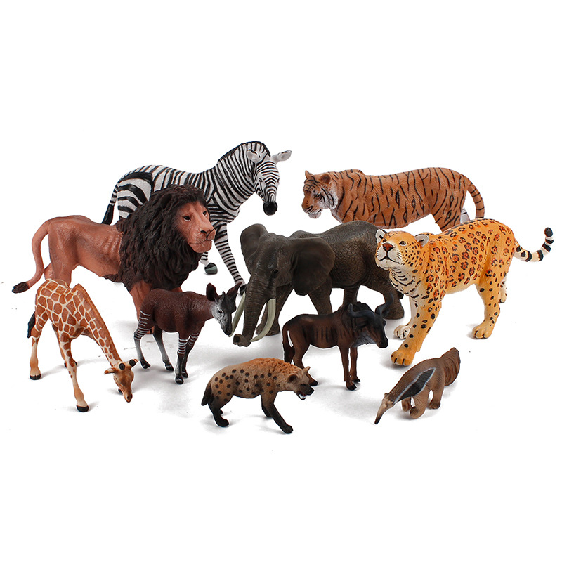 animal model