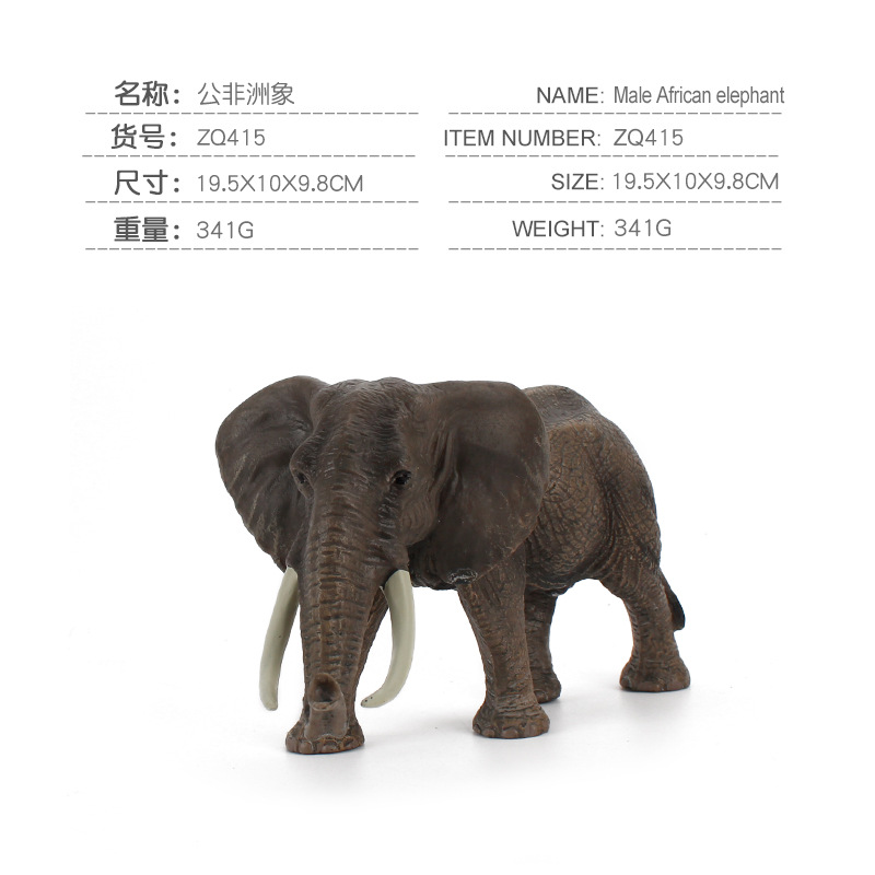 ZQ415 Public Africa Elephant 341G