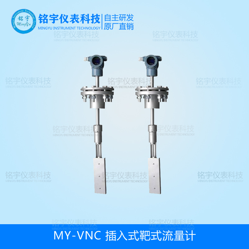 靶式流量计 数显靶式流量计 差压式流量计 流量表