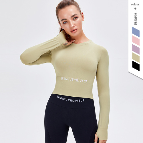 New Autumn and Winter European and American Cross-border Seamless Yoga Wear Women's Long-sleeved Tight Running Sports Fitness Top 
